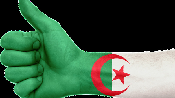 نجاح التجربة الأمنية الجزائرية  Algeria-643757_640